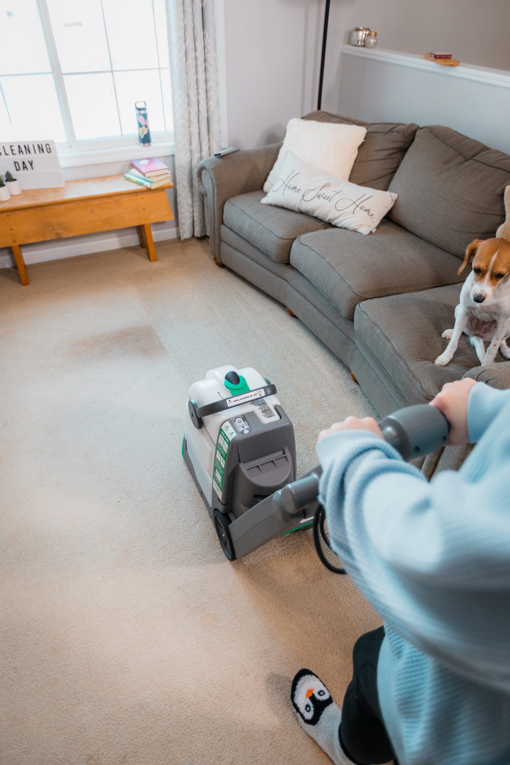 Top Perspective carpet cleaning