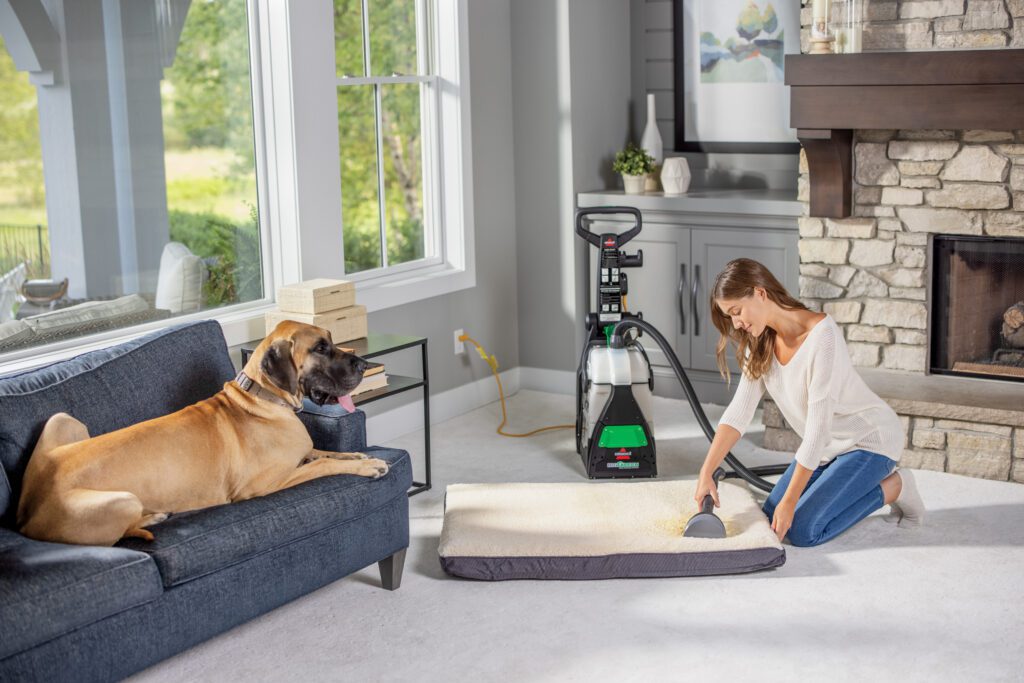 Big Green cleaning pet's couch