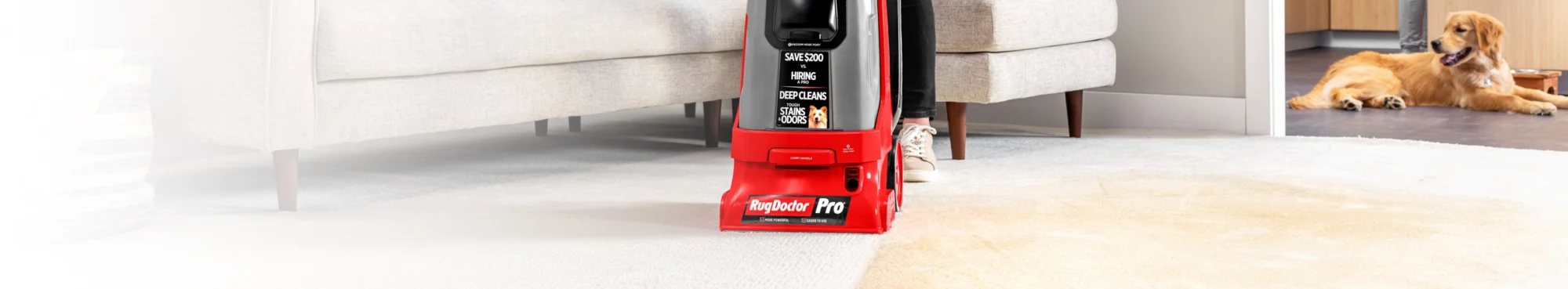 Pro-Grade Carpet Cleaner Machines