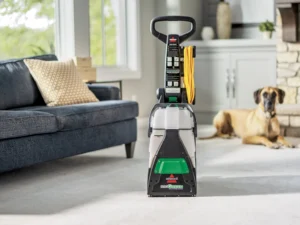 Big Green Carpet Cleaner Rug Doctor by BISSELL