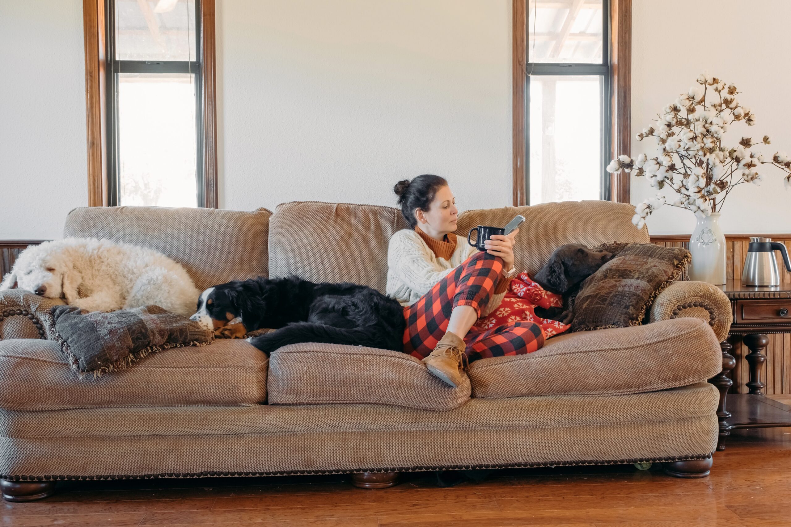 Young woman in cozy casual clothes sitting on sofa