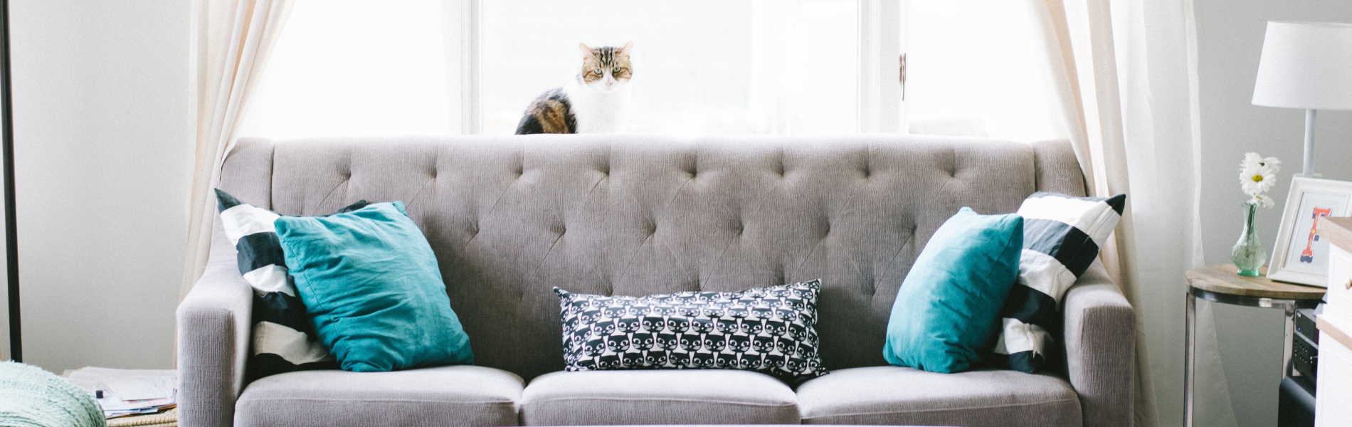 How to Clean Couch Cushions like the Pros